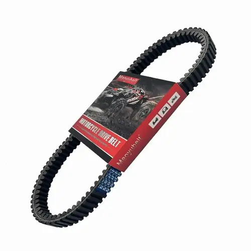 Timing Belt